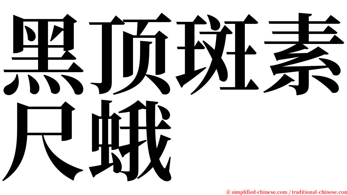 黑顶斑素尺蛾 serif font