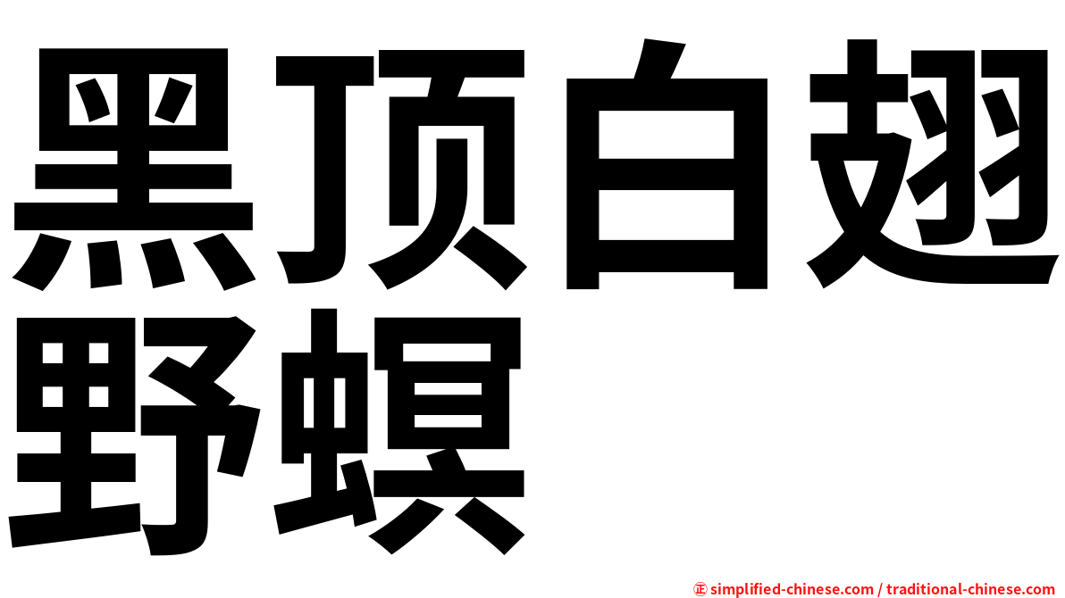 黑顶白翅野螟