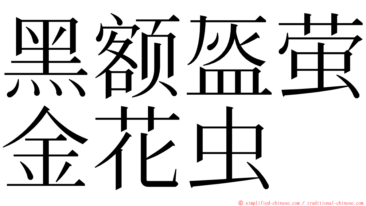 黑额盔萤金花虫 ming font