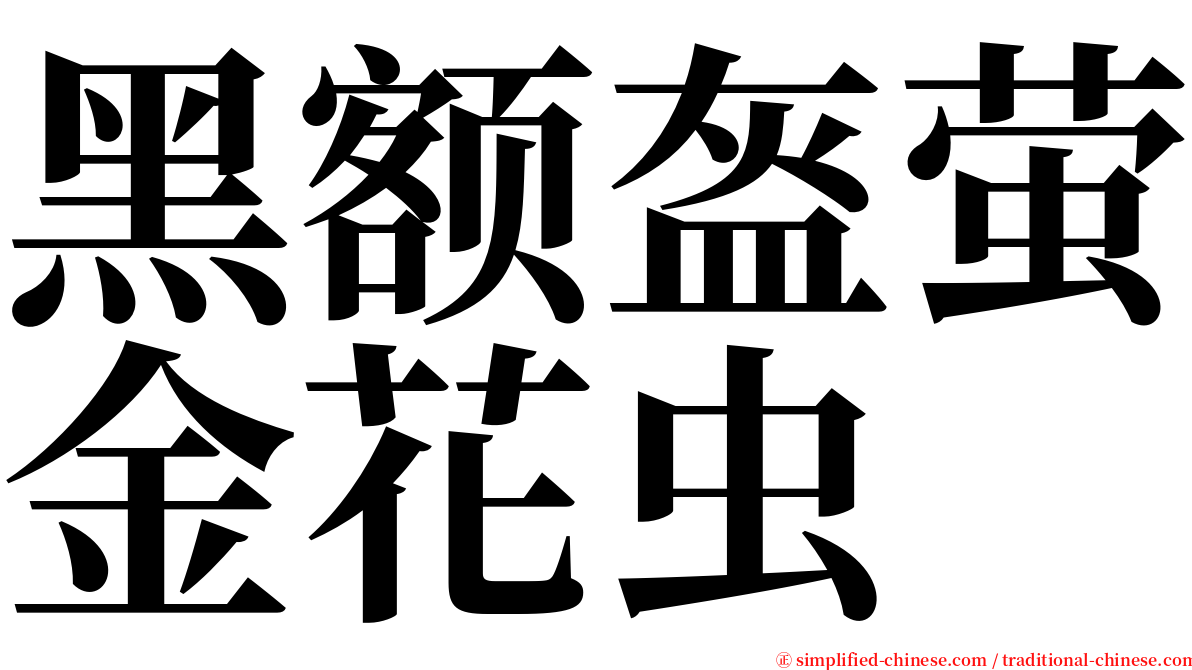 黑额盔萤金花虫 serif font