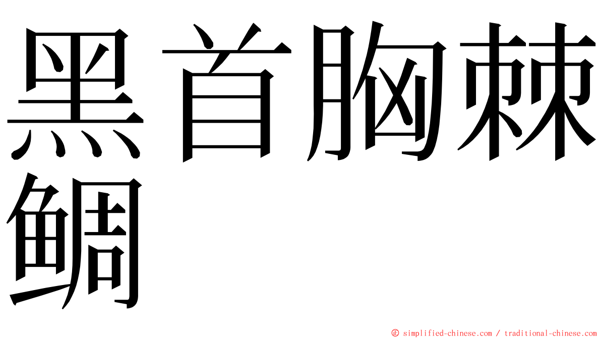 黑首胸棘鲷 ming font