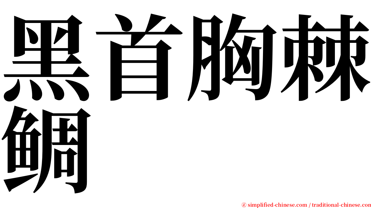 黑首胸棘鲷 serif font