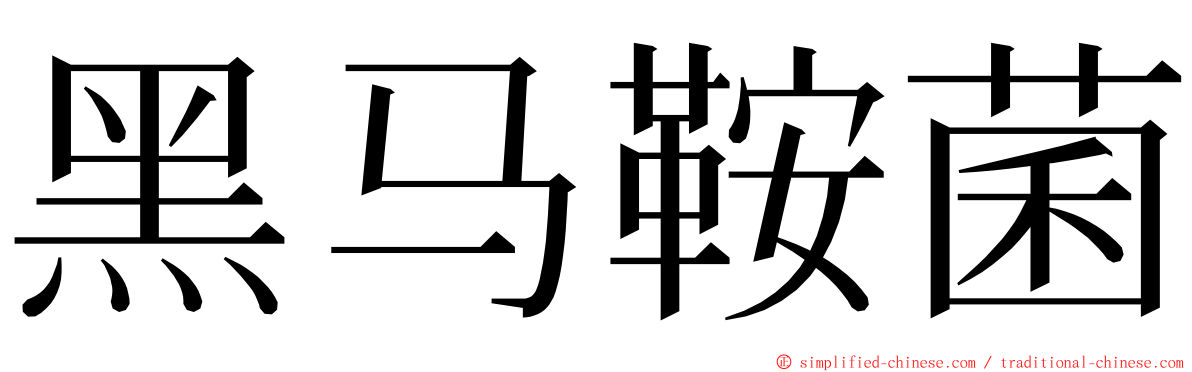 黑马鞍菌 ming font