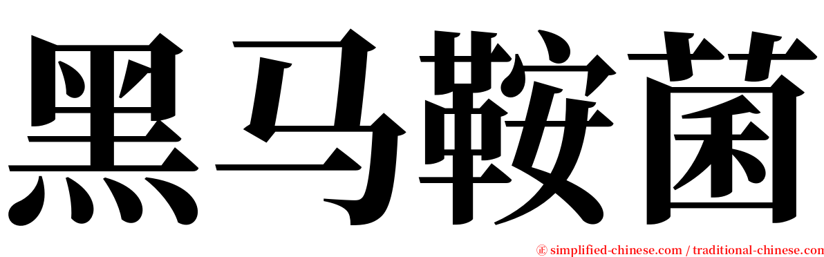 黑马鞍菌 serif font