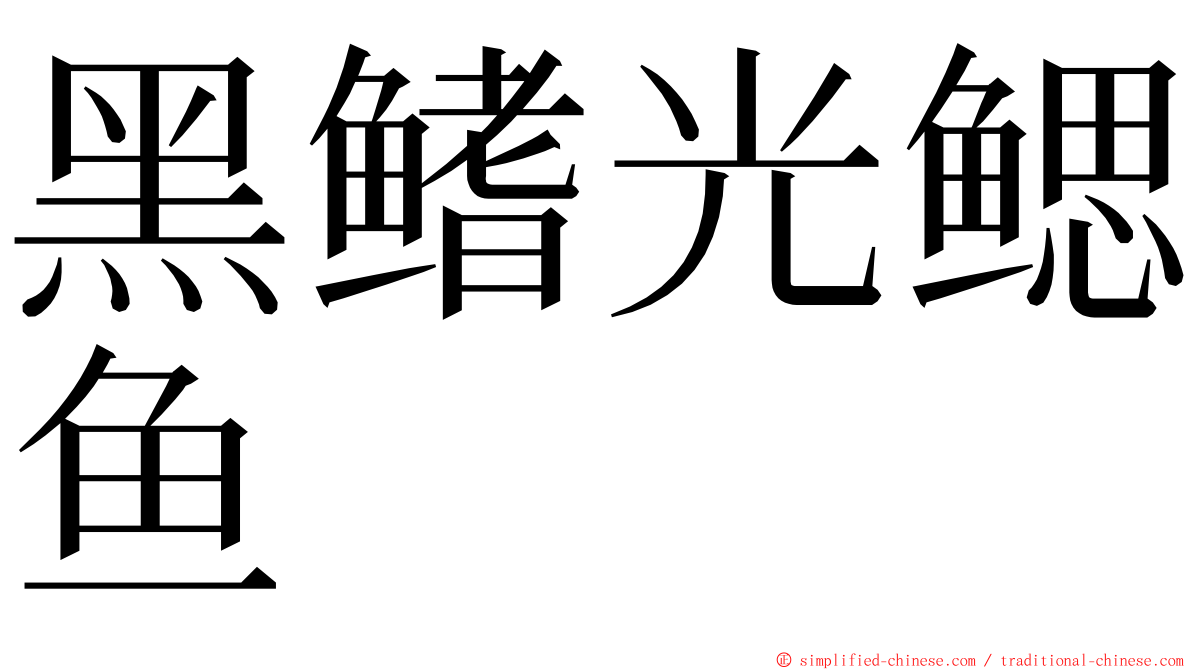 黑鳍光鳃鱼 ming font