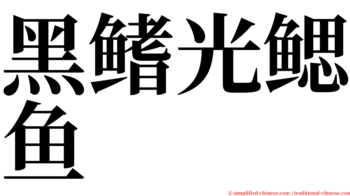 黑鳍光鳃鱼 serif font