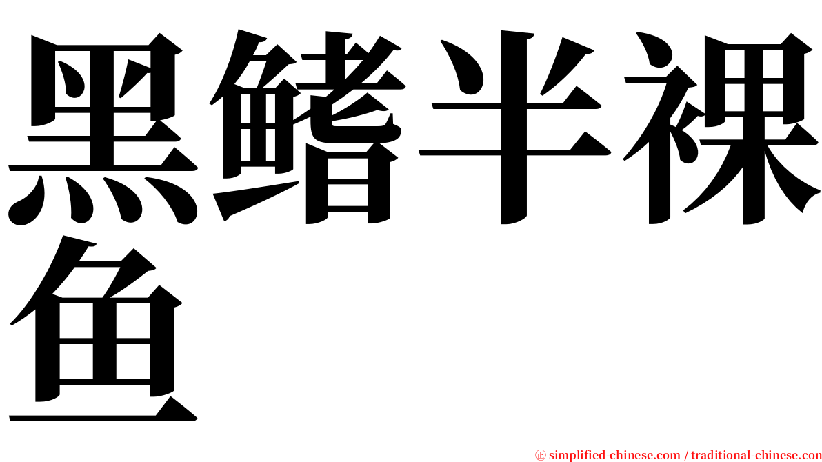 黑鳍半裸鱼 serif font