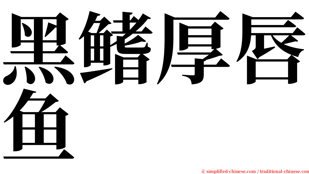 黑鳍厚唇鱼 serif font