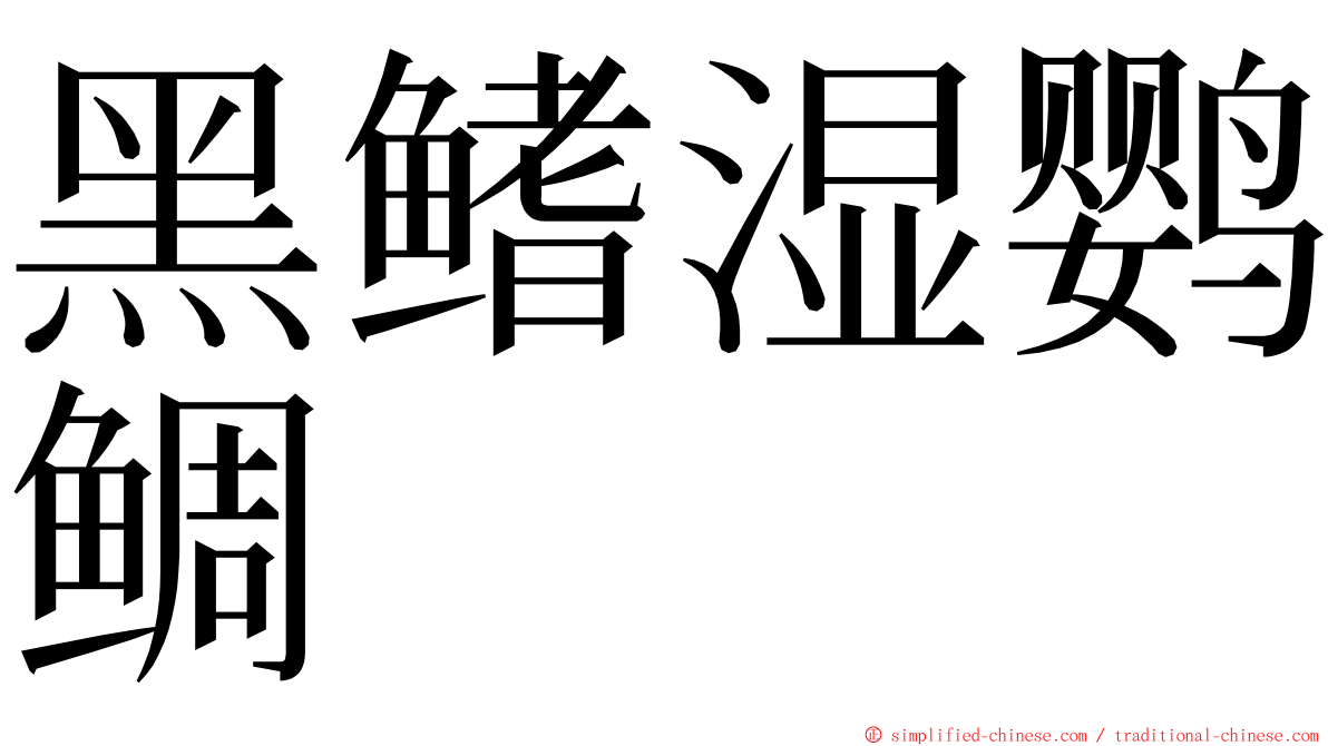 黑鳍湿鹦鲷 ming font