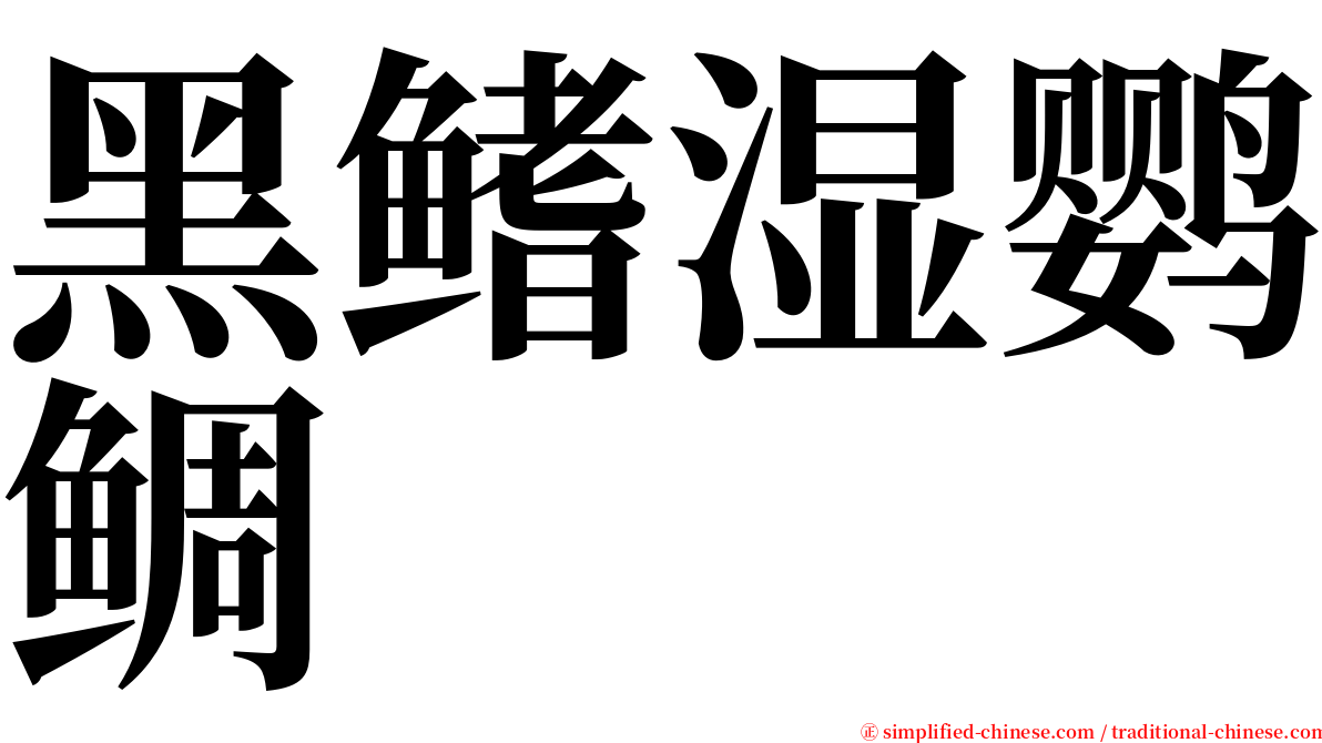 黑鳍湿鹦鲷 serif font