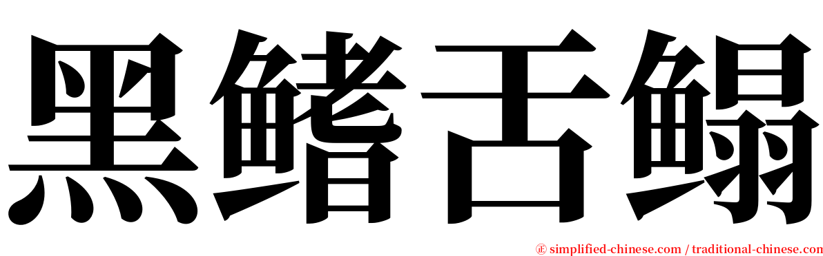 黑鳍舌鳎 serif font