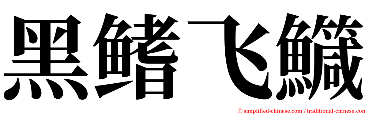 黑鳍飞鱵 serif font