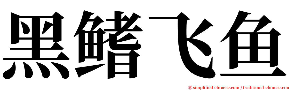 黑鳍飞鱼 serif font