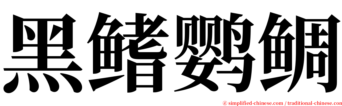 黑鳍鹦鲷 serif font