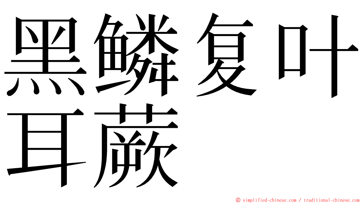 黑鳞复叶耳蕨 ming font