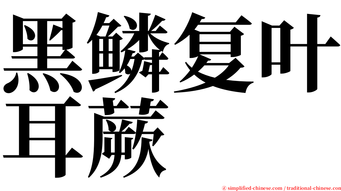 黑鳞复叶耳蕨 serif font