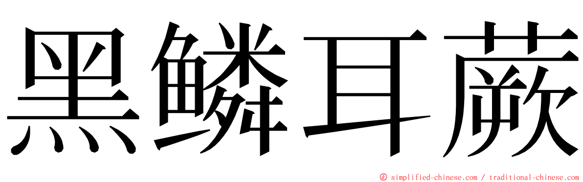 黑鳞耳蕨 ming font