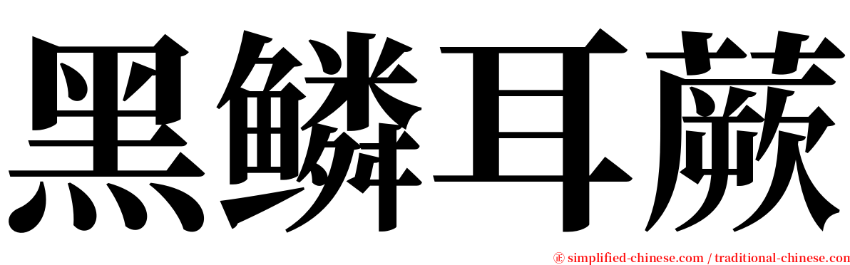 黑鳞耳蕨 serif font