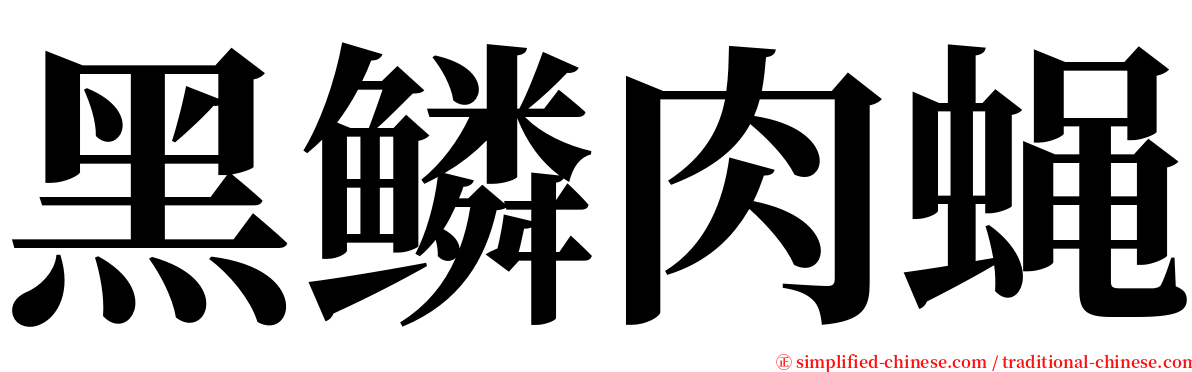 黑鳞肉蝇 serif font