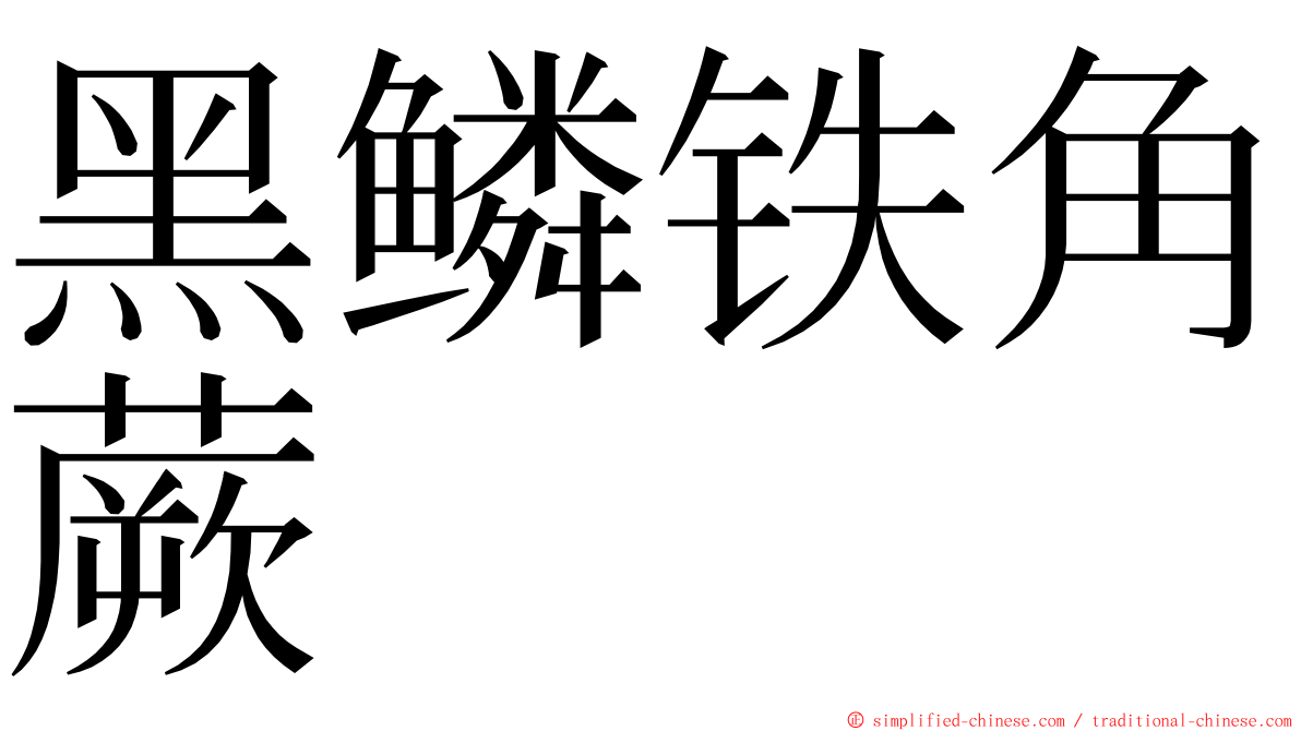 黑鳞铁角蕨 ming font