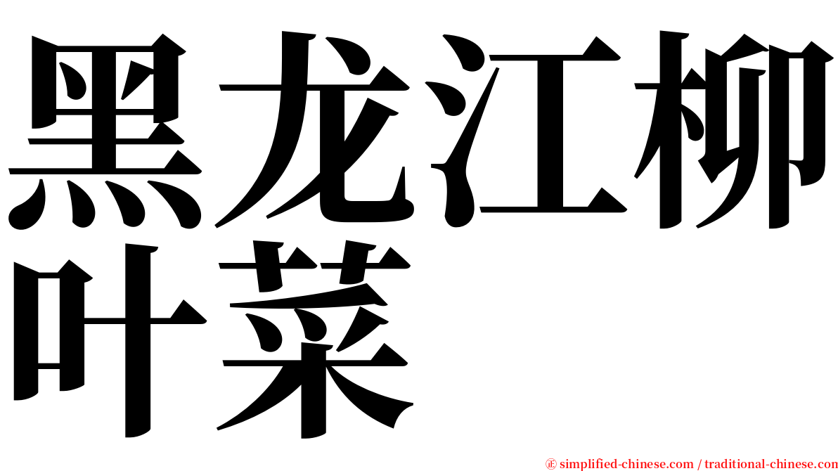 黑龙江柳叶菜 serif font