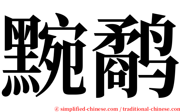 黦鹬 serif font