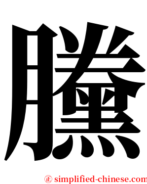 黱 serif font