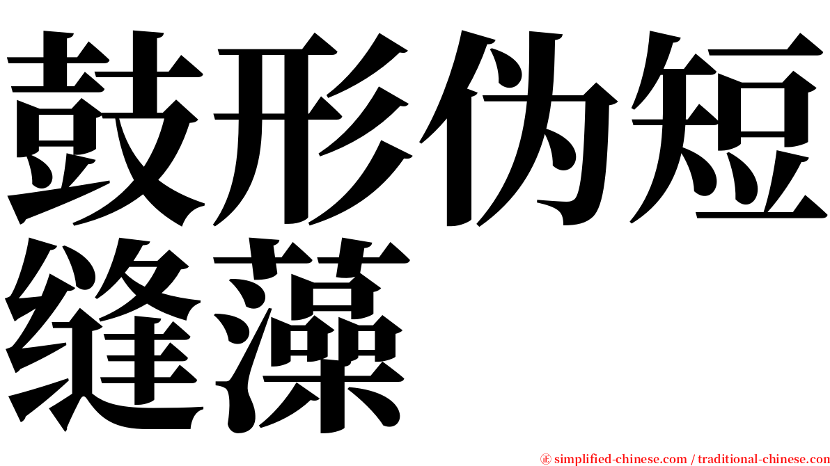 鼓形伪短缝藻 serif font