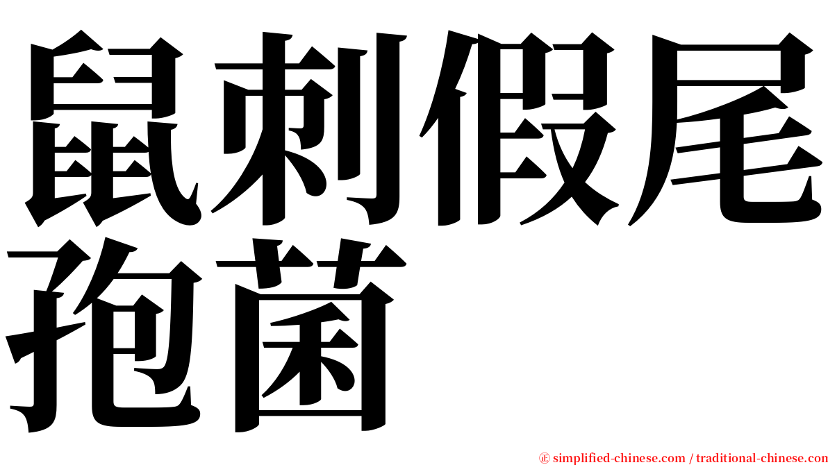 鼠刺假尾孢菌 serif font