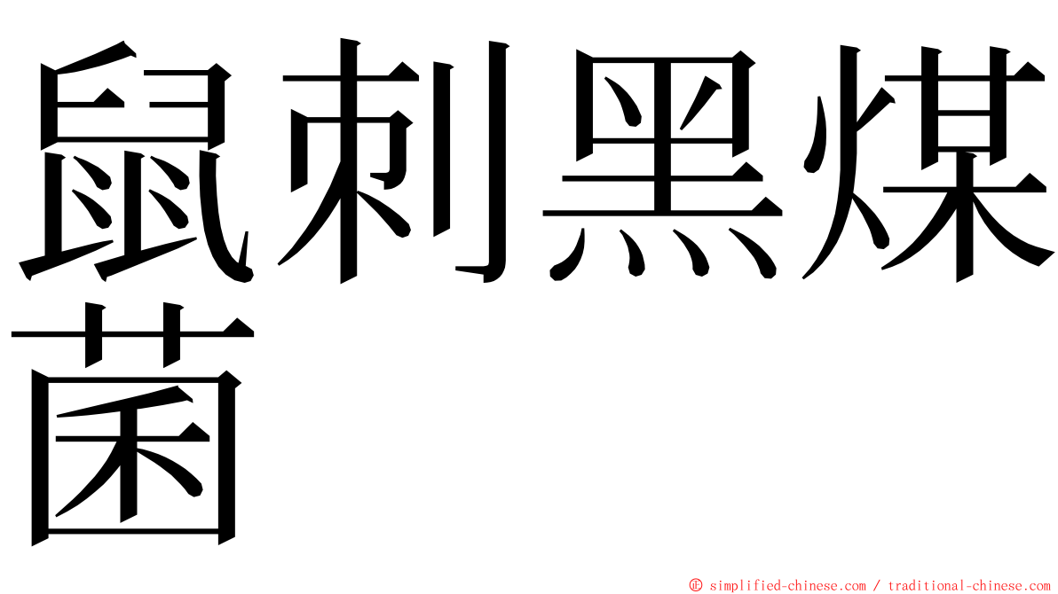 鼠刺黑煤菌 ming font