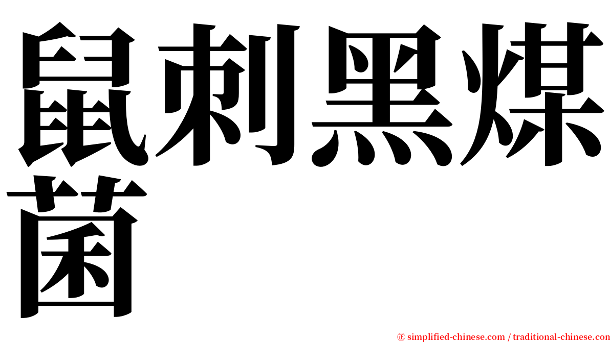 鼠刺黑煤菌 serif font