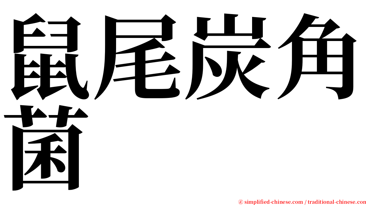 鼠尾炭角菌 serif font