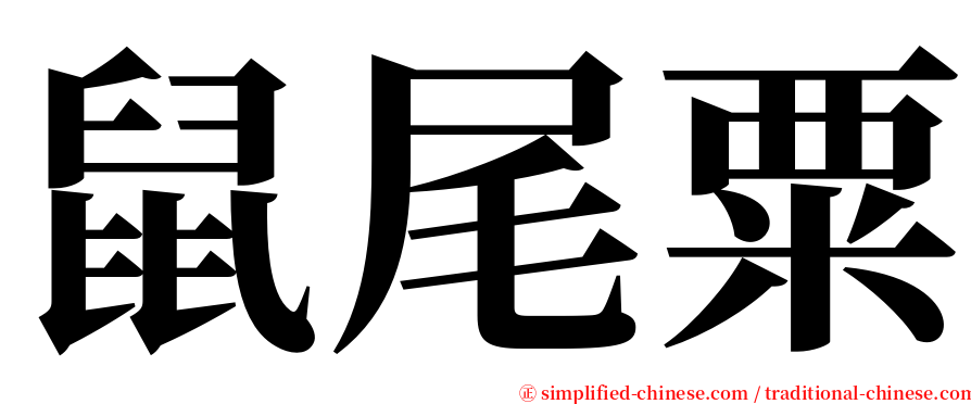 鼠尾粟 serif font