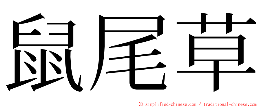 鼠尾草 ming font