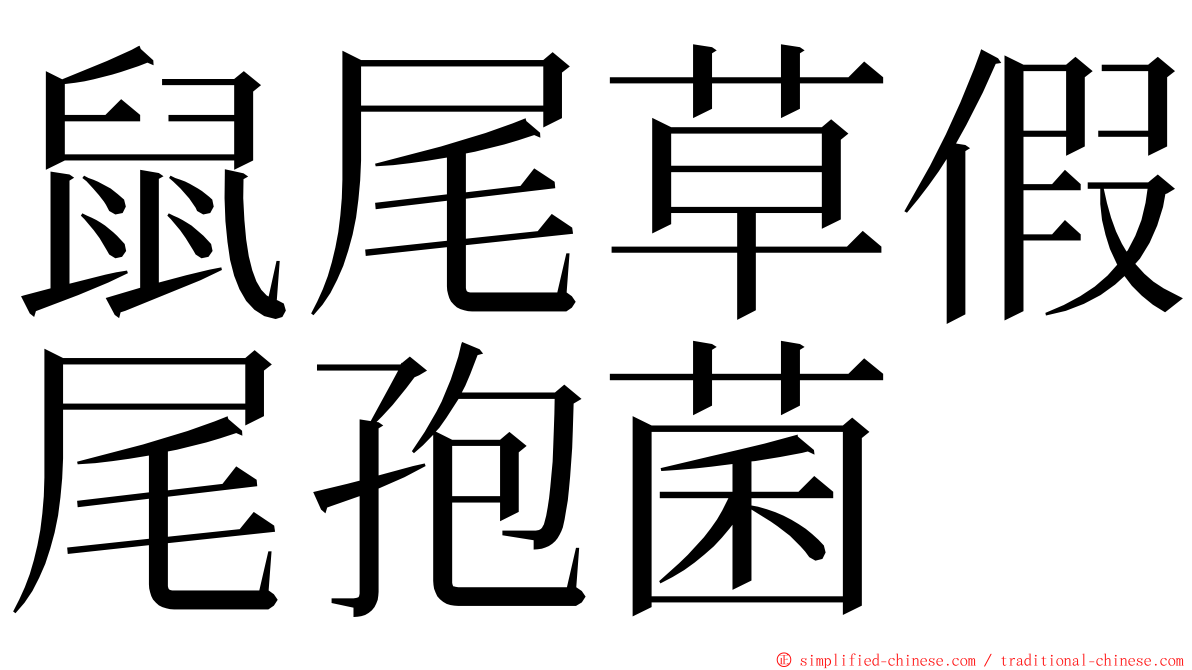 鼠尾草假尾孢菌 ming font