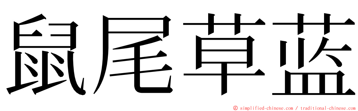 鼠尾草蓝 ming font