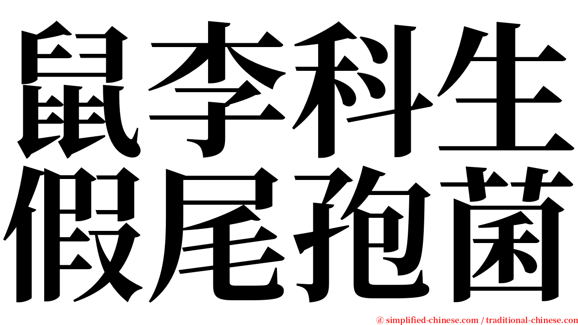 鼠李科生假尾孢菌 serif font