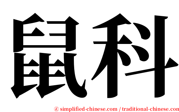 鼠科 serif font