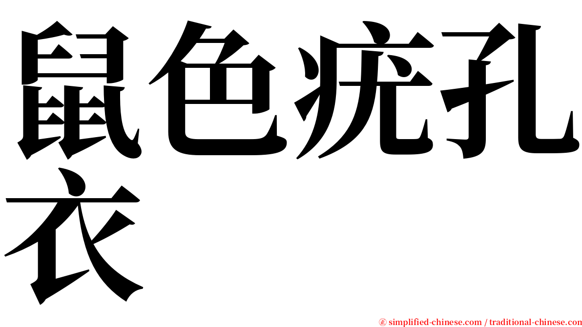 鼠色疣孔衣 serif font