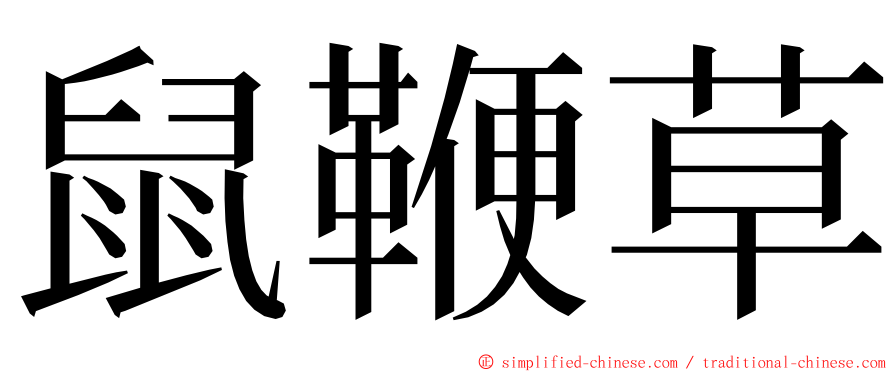 鼠鞭草 ming font