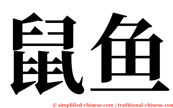 鼠鱼 serif font