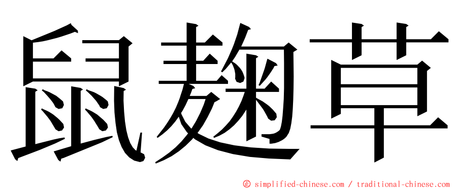 鼠麹草 ming font