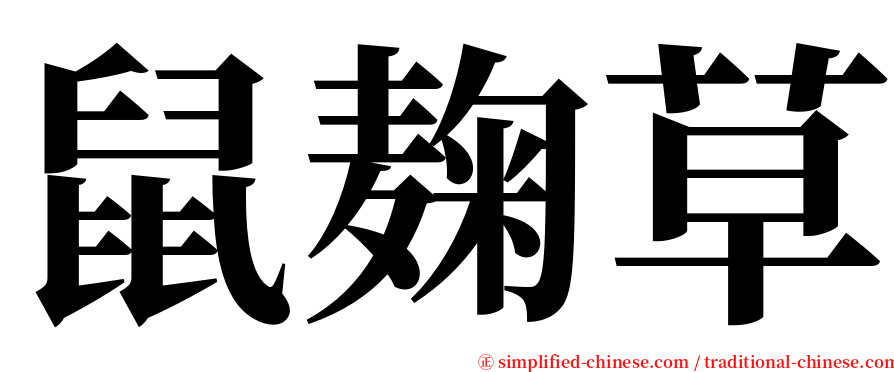 鼠麹草 serif font