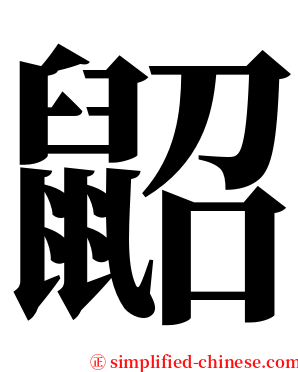 鼦 serif font