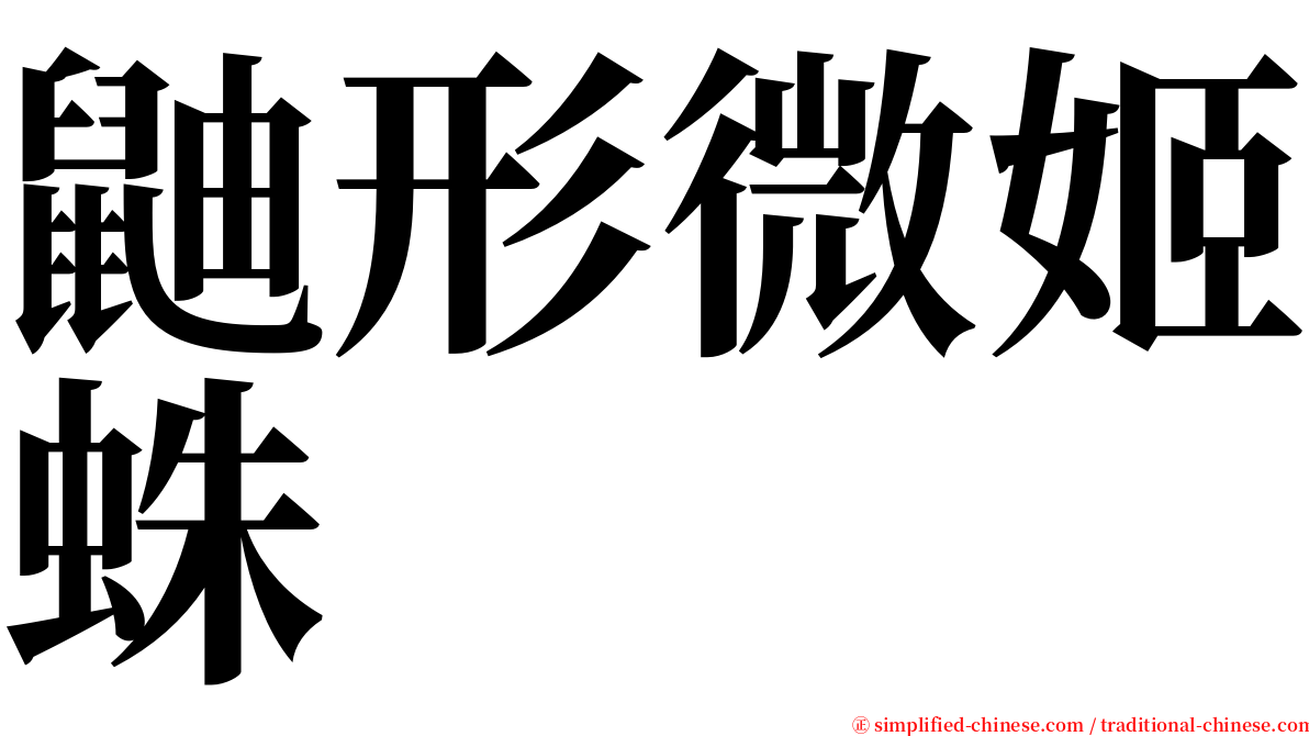 鼬形微姬蛛 serif font