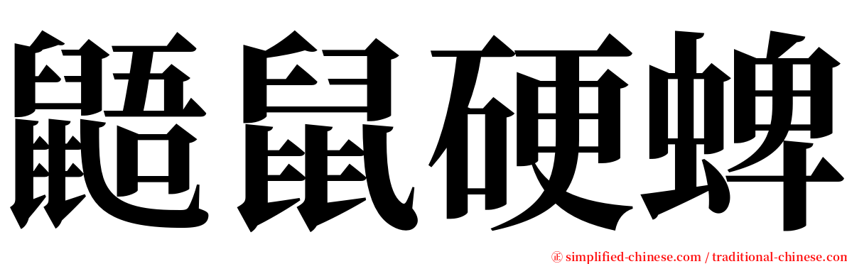 鼯鼠硬蜱 serif font