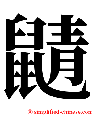 鼱 serif font