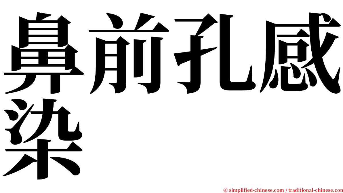 鼻前孔感染 serif font