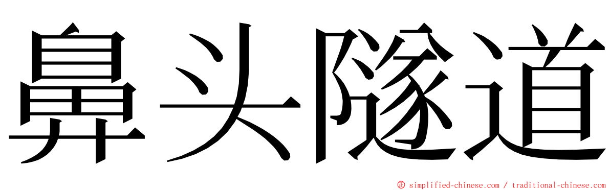 鼻头隧道 ming font