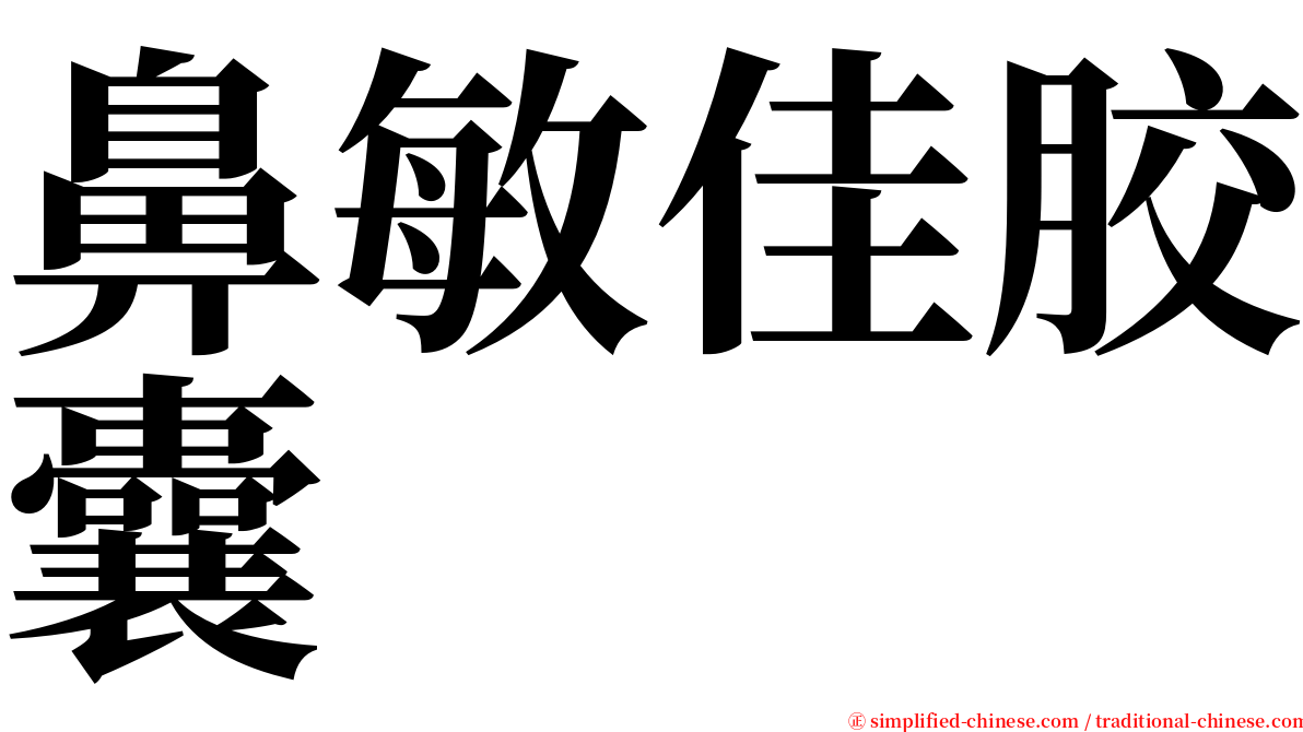 鼻敏佳胶囊 serif font